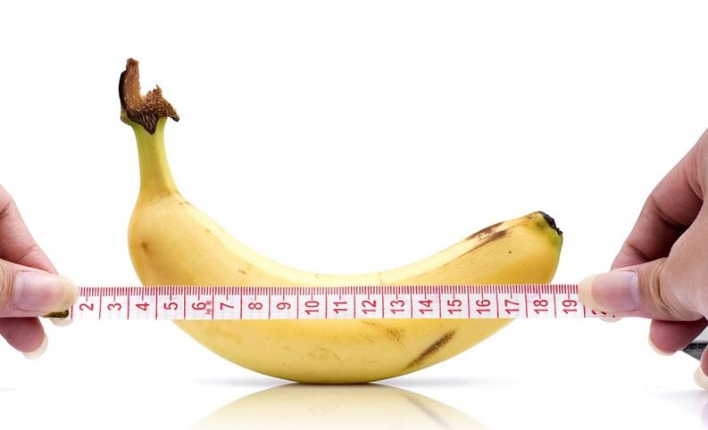The influence of abstinence in penis length